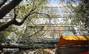 روز ملی سینما 4