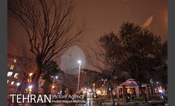 بارش برف در تهران 13