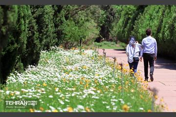 طبیعت بهاری در باغ ملی گیاهشناسی ایران 23