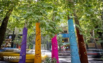 جان دوباره در درختستان 10