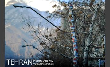 المان های نوروزی در خیابان ولیعصر(عج) 14