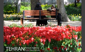 رویش گل های لاله در باغ ایرانی 38