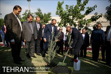 آئین درخت کاری به مناسبت تولد گاندی 15