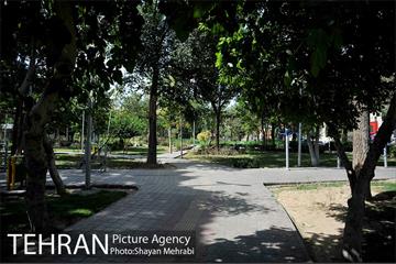 بوستان هفت چنار 4