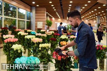 شانزدهمین نمایشگاه بین المللی گل و گیاه تهران 3