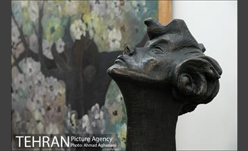 موزه دکترامیراسماعیل سندوزی 7