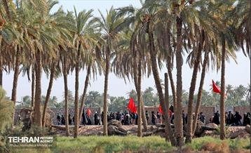 پیاده روی اربعین حسینی؛ طریق العلماء 22