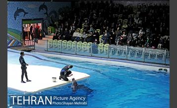 حضور خانواده هاى کارکنان شهردارى تهران در دلفیناریوم برج میلاد به همراه شهردار تهران 18