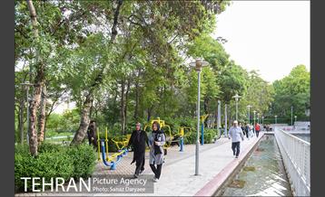 بوستان پلیس 8