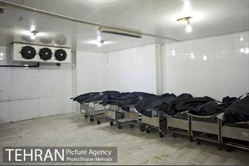 تطهیر و تدفین جانباختگان کرونایی در بهشت زهرا(س) 2