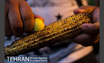 شیر بلال تابستان 8