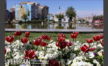 لاله آرایی در منطقه 20