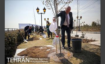 مراسم کاشت درخت صلح و دوستی 29