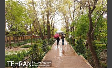 روز طبیعت بارانی در باغ ایرانی 9