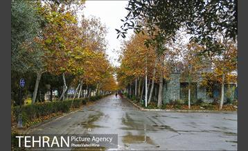 پاییز در بوستان رازی 11