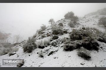 بارش برف زمستانی در تهران 28