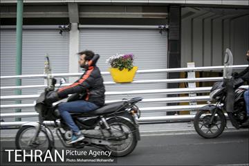 استقبال از بهار در خیابانهای تهران 8