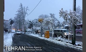 صبح برفی تهران 36