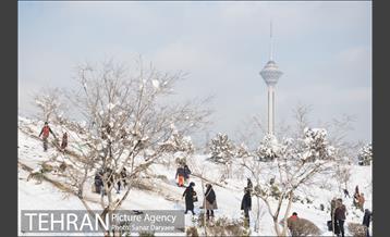جشنواره مجسمه های برفی 25