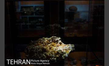 موزه علوم زمین 11