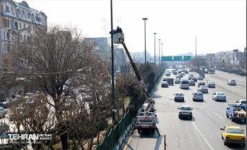 استقبال از بهار - 5 20