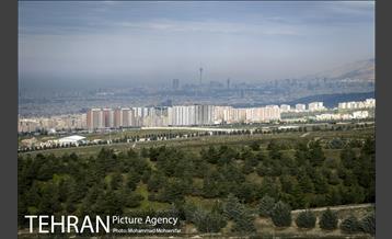 بازدید از پروژه جنگل کاری 1250 هکتاری 16