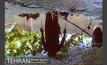 بازار فروش دام در محله طرشت به مناسبت عید قربان 22