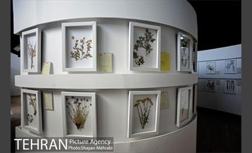 موزه گیاه شناسی دارآباد 19