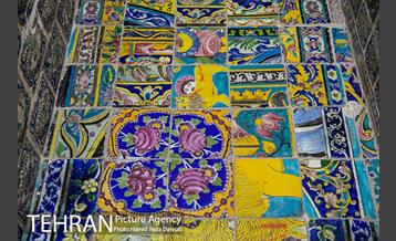 درخشش «الماس» در میانه گلستان 22