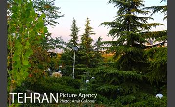 بوستان گفتگو‎ 27