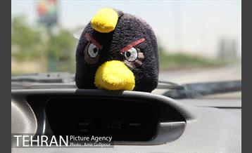 با تاکسی های شهر 7