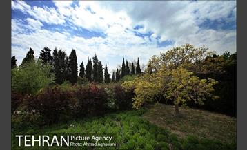 باغ گیاه‌شناسی ملی ایران 3