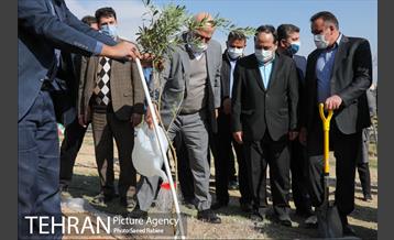 مراسم درختکاری در بوستان پردیسان 15