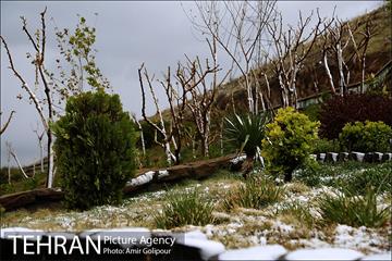 بهار بارانی تهران در روز طبیعت 6