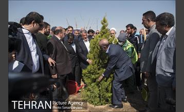 آیین کاشت "درخت ایثار" 26