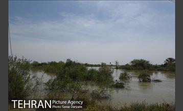 بازدید شهردار تهران از بخش سیل زده بستان خوزستان 26