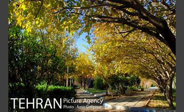 شهرک صدرا 43