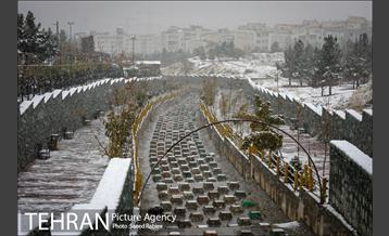 بارش نخستین برف پاییزی در تهران 8