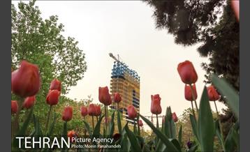 هوای بهاری تهران 8