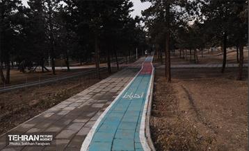 بازدید نخبگان منطقه ۵ از پروژه‌های عمرانی 56