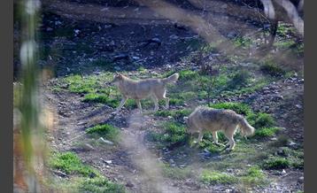 پارک پردیسان 3