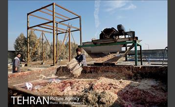 بررسی بوی نامطبوع در مسیر فرودگاه امام خمینی(ره) -2 17