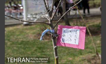 درختکاری و لانه گذاری کبوتر در بوستان بعثت 32