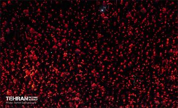 اجتماع اربعینی‌ها - 2 5