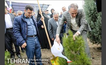 آیین غرس پنچ هزار اصله نهال در اراضی جنگل لویزان 37