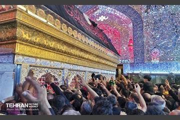 حرم امیرالمؤمنین(ع) در آستانه اربعین حسینی 18