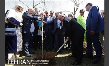 آیین کاشت درخت صلح و دوستی 37