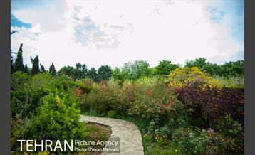 باغ گیاه‌شناسی ملی ایران 6