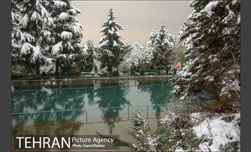 برف زمستانی پارک جمشیدیه 16