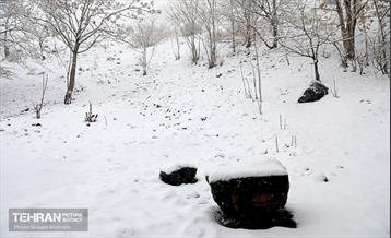 بارش برف زمستانی در تهران 17